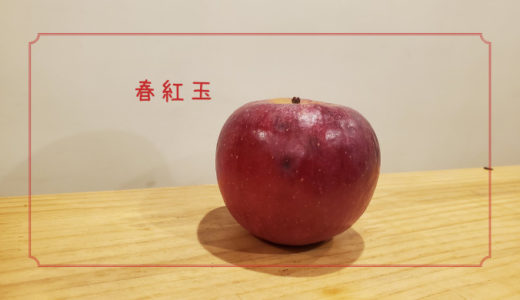 【春紅玉】紅玉の弱点を克服したりんご｜りんごの品種を勉強する#3
