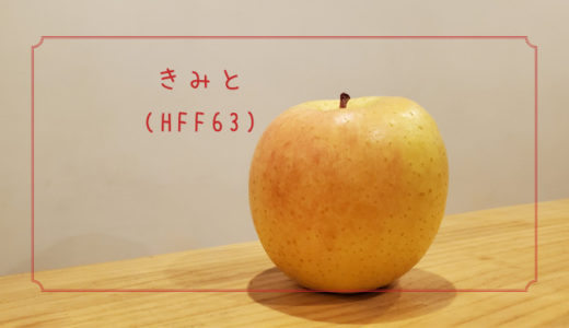 【きみと(HFF63)】りんご栽培の省力化を目指した新しいりんご｜りんごの品種を勉強する#6