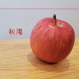 【秋陽】山形県初のオリジナル品種の上品なりんご｜りんごの品種を勉強する#16