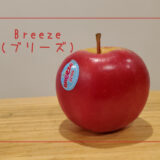 【Breeze(ブリーズ)】ニュージーランドのりんごシーズン到来をお知らせするりんご｜りんごの品種を勉強する#25