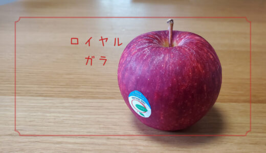 【ロイヤルガラ】ニュージーランド生まれのつやつやなりんご｜りんごの品種を勉強する#26