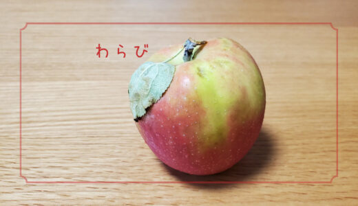 【わらび】日本で一番早く収穫できるりんご｜りんごの品種を勉強する#29