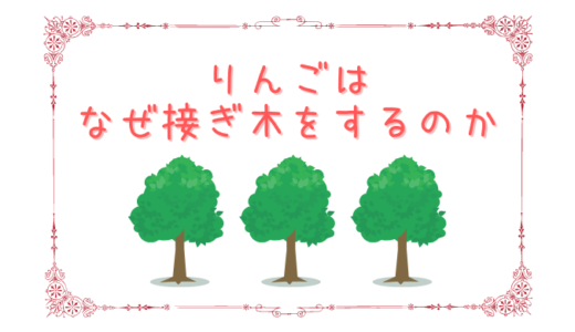 りんごの台木の種類 | ぽむれぽ。