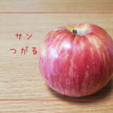 【サンつがる】収穫量全国2位を誇るりんご｜りんごの品種を勉強する#33
