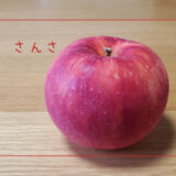 【さんさ】外国生まれ日本育ちの夏のりんご｜りんごの品種を勉強する#34
