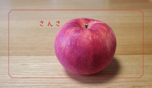 【さんさ】外国生まれ日本育ちの夏のりんご｜りんごの品種を勉強する#34