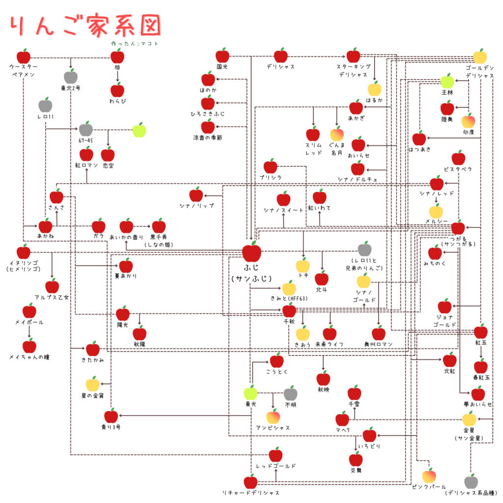 りんごの家系図】りんごの品種の交配親の組み合わせをまとめました。 | ぽむれぽ。