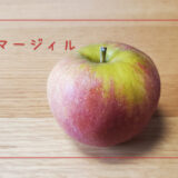 【マージィル(マスカットオブレネット)】マスカットのような香りがするりんご｜りんごの品種を勉強する#37