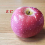 【北紅】生産量が少ない蜜入りりんご｜りんごの品種を勉強する#40
