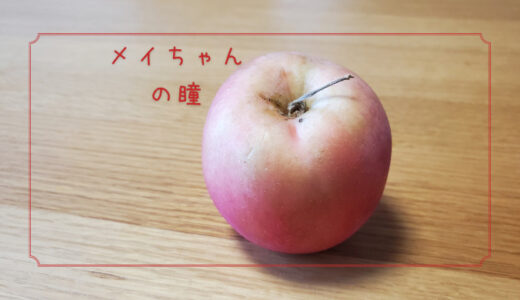 【メイちゃんの瞳】その瞳にくぎ付けになるかわいいりんご｜りんごの品種を勉強する#44