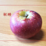【秋映】秋に映える皮の色が特徴的なりんご｜りんごの品種を勉強する#46