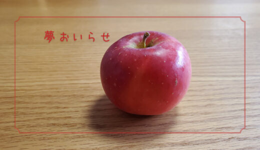 【夢おいらせ】おいらせと似ているようで違う小さなりんご｜りんごの品種を勉強する#51
