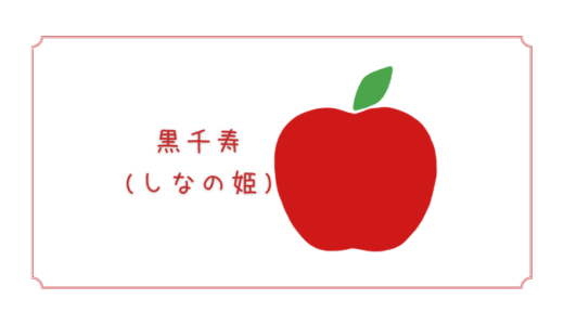 【黒千寿】長野県生まれの隠れた蜜入りりんご｜りんごの品種を勉強する#57