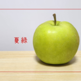 【夏緑】りんごシーズン最初に出てくるさわやかな味の青りんご｜りんごの品種を勉強する#88